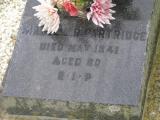 image of grave number 25567